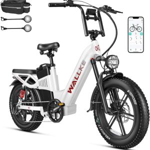 W Wallke AWD Dual Motor Electric Bike for Adults, UL2849 Certified, 48V 60Ah Battery